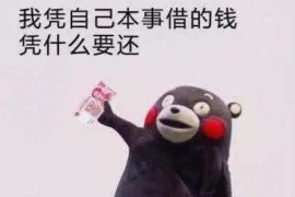 固安企业清欠服务